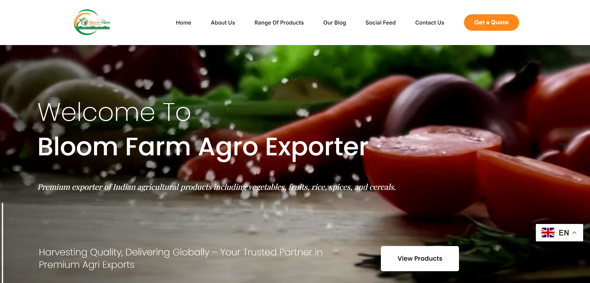 Bloom Farm Agro Exporter